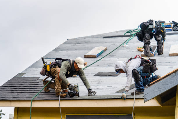 Professional Storm Damage Roof Repair technician working in Tracy, IA